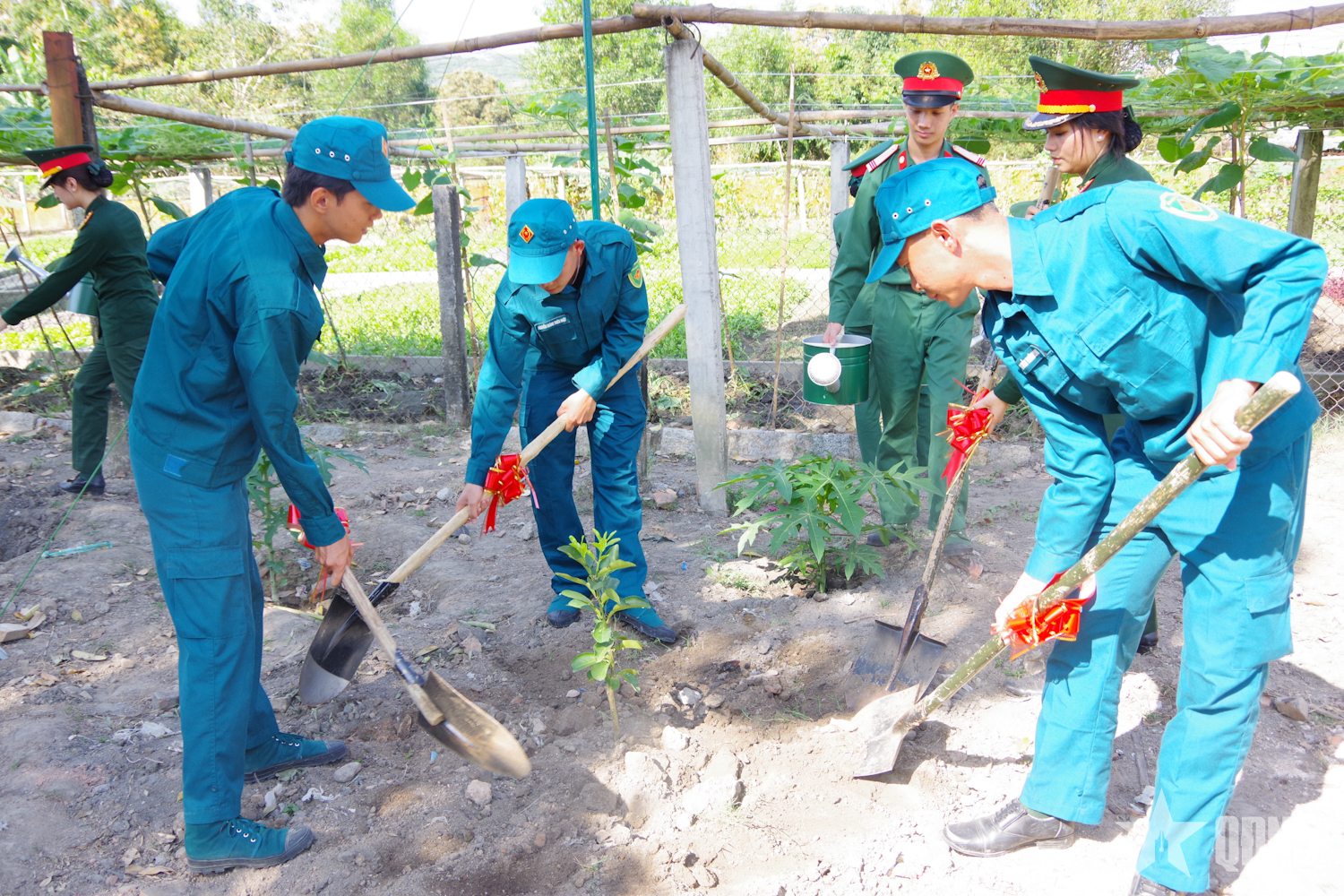 Bộ CHQS tỉnh Khánh Hòa: Trồng mới hàng trăm cây lấy gỗ, cây ăn quả